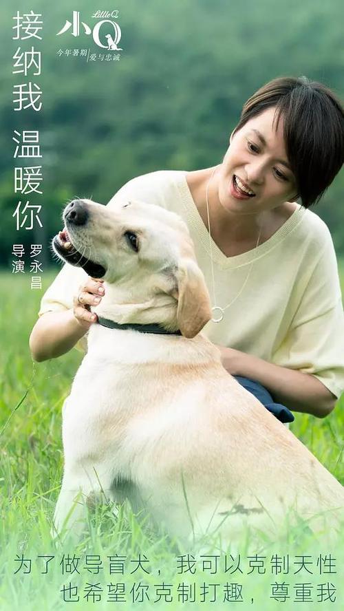 办假大专毕业证件